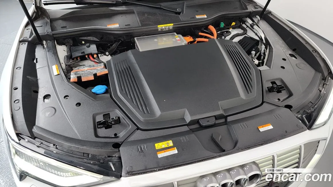 Audi e-tron 2021 из KR, фото 6