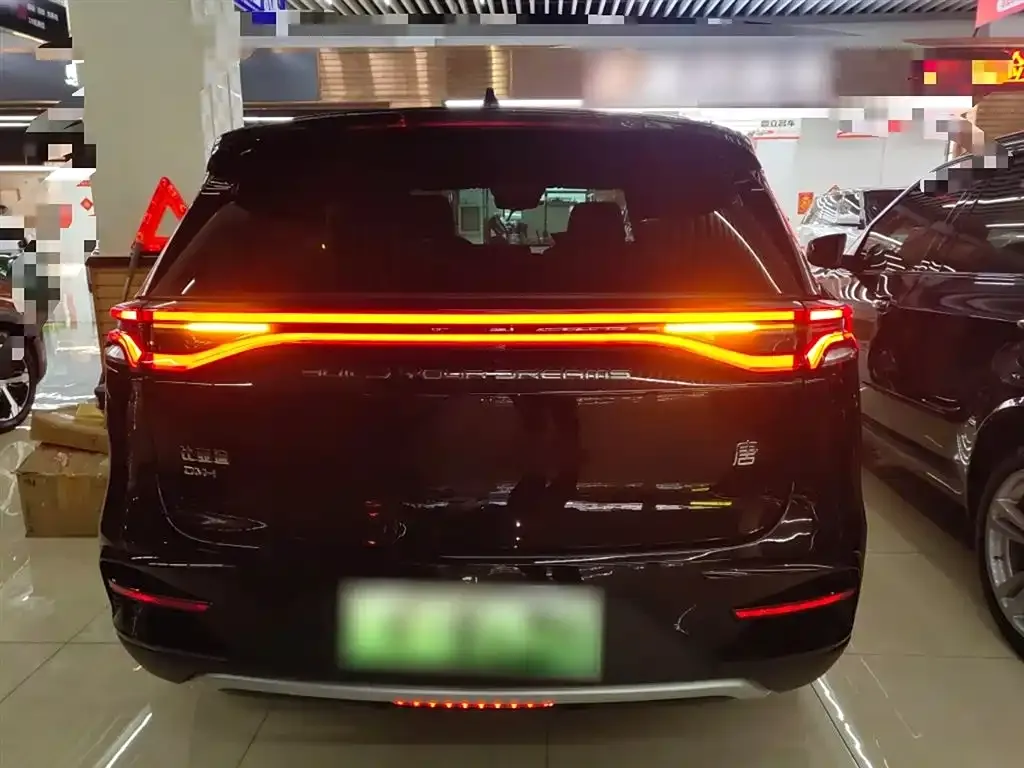 BYD Tang New Energy 2023 из CN, фото 6