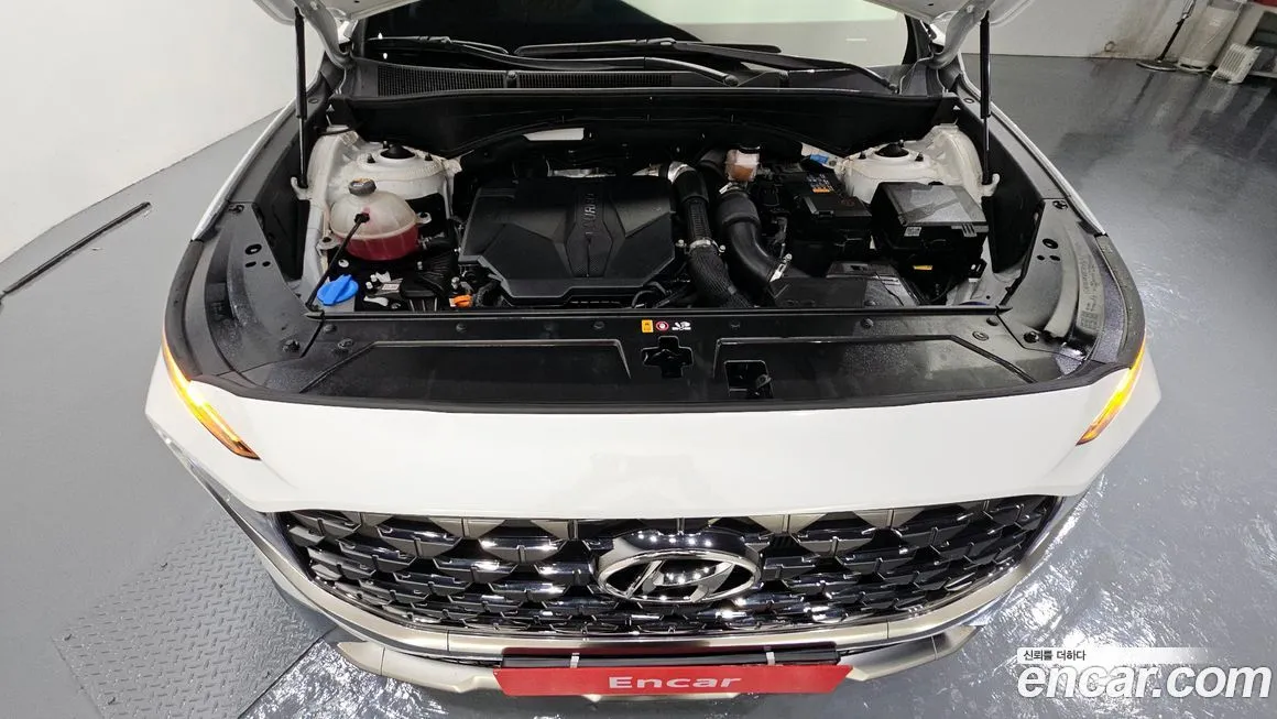Hyundai Santafe 2023 из KR, фото 6