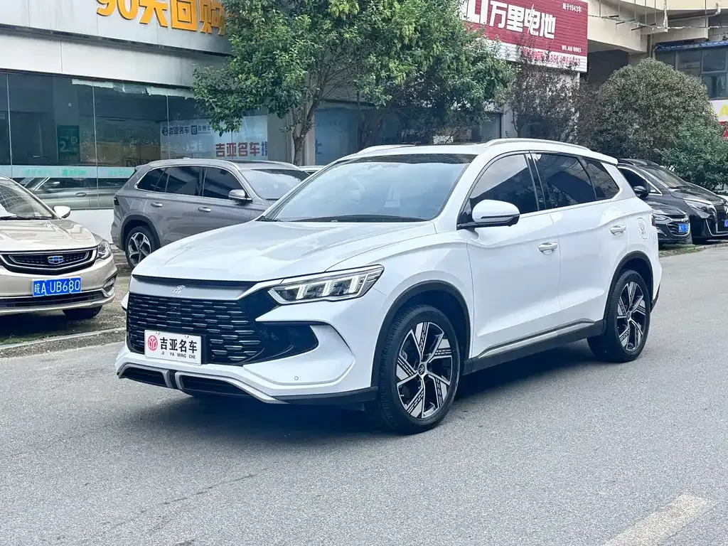 BYD Pro New Energy 2023 из CN, фото 1