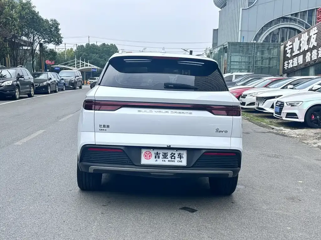 BYD Pro New Energy 2023 из CN, фото 10