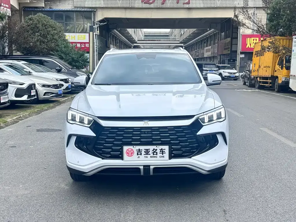 BYD Pro New Energy 2023 из CN, фото 2