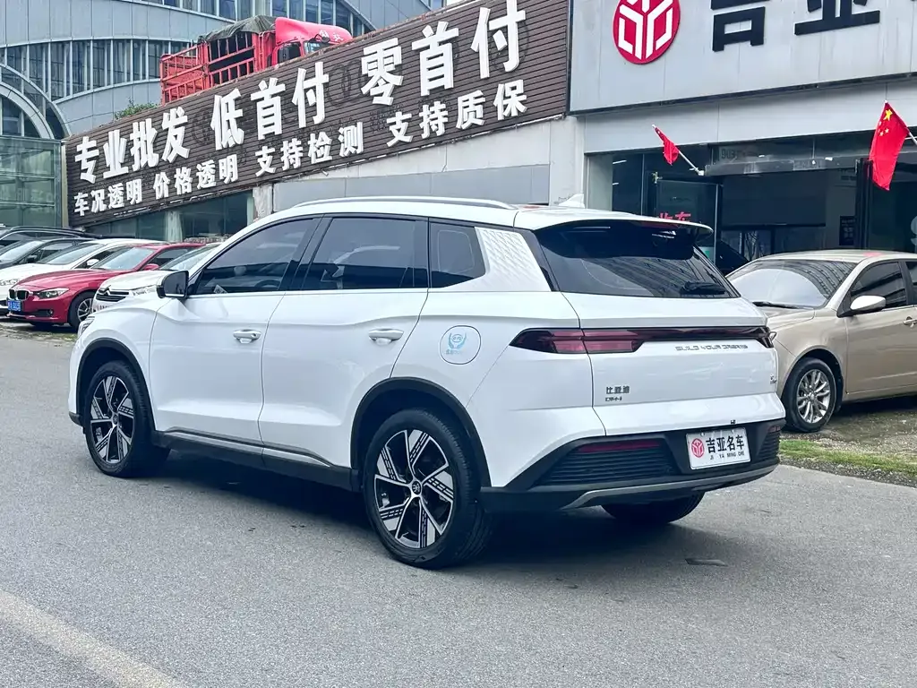 BYD Pro New Energy 2023 из CN, фото 9