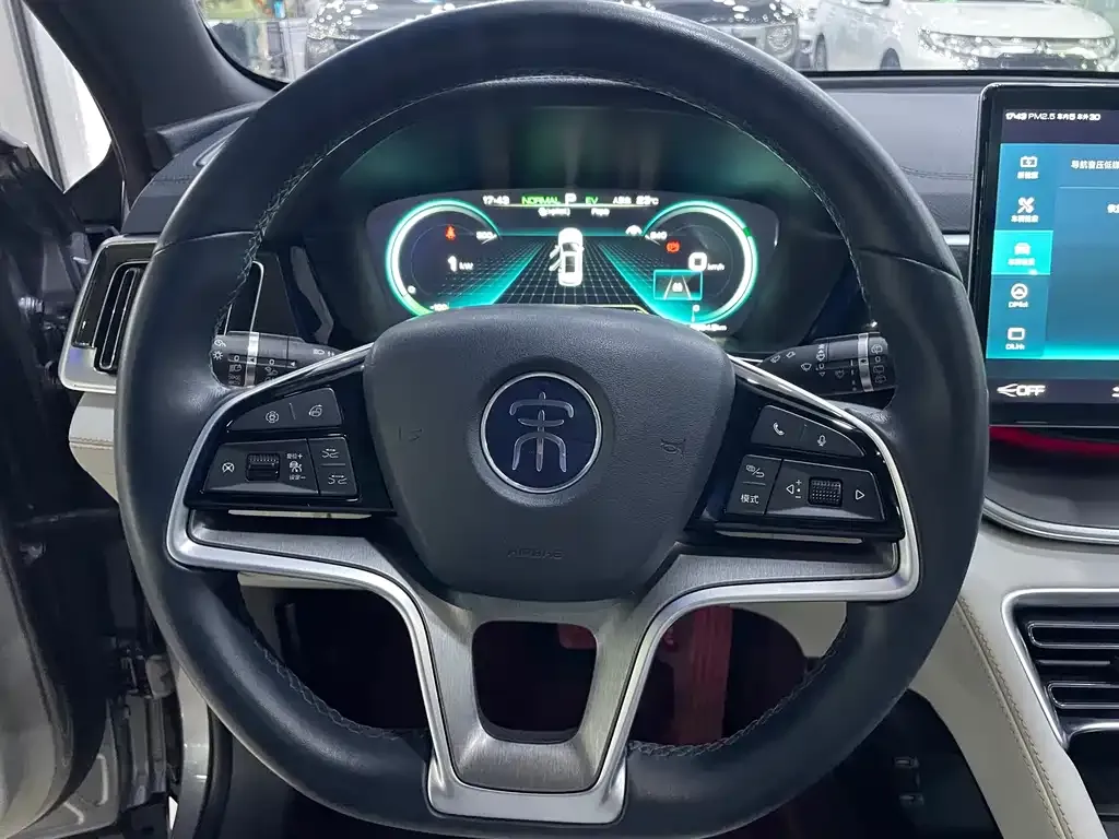 BYD PLUS New Energy — фото 8