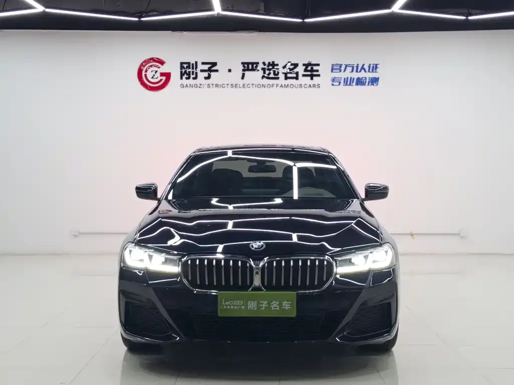 BMW 5 Series 2023 из CN, фото 2