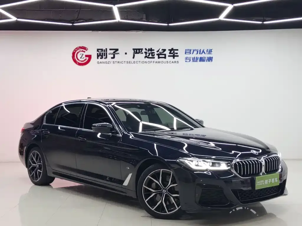 BMW 5 Series 2023 из CN, фото 3