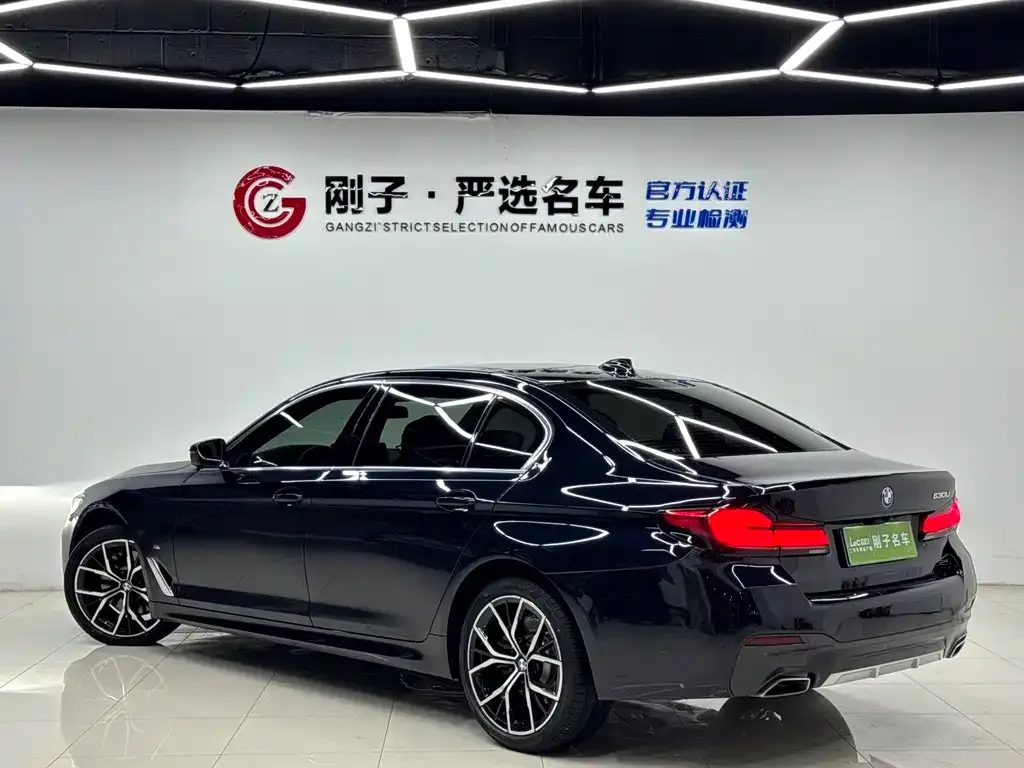 BMW 5 Series 2023 из CN, фото 4