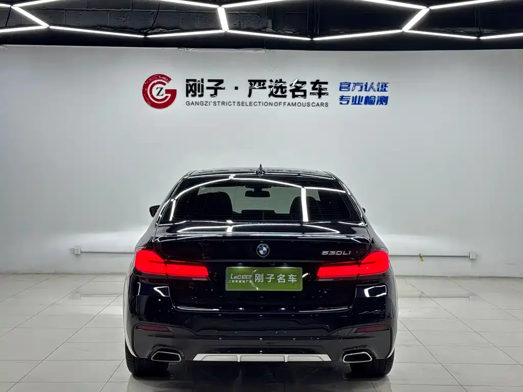 BMW 5 Series 2023 из CN, фото 5