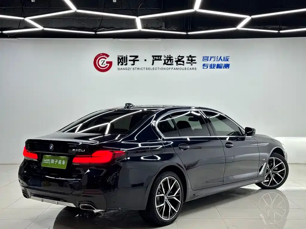 BMW 5 Series 2023 из CN, фото 6