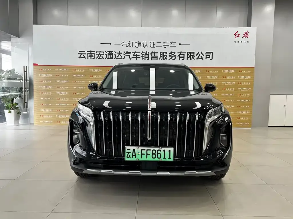 Hongqi HS7 PHEV 2024 из CN, фото 2