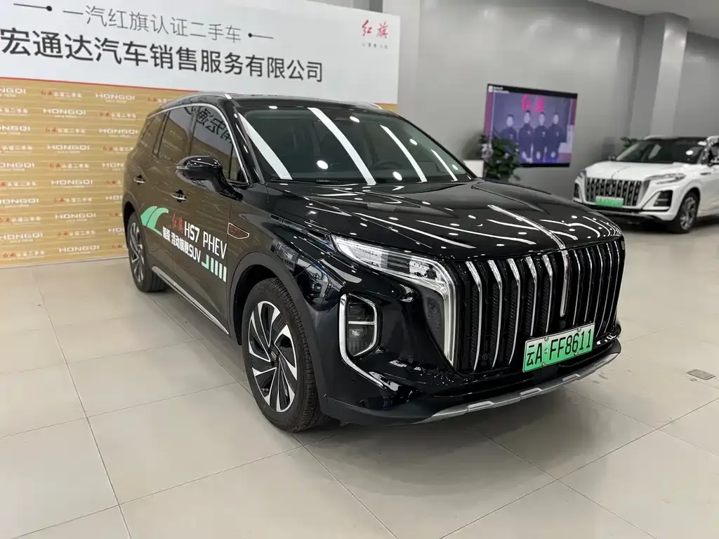 Hongqi HS7 PHEV 2024 из CN, фото 3