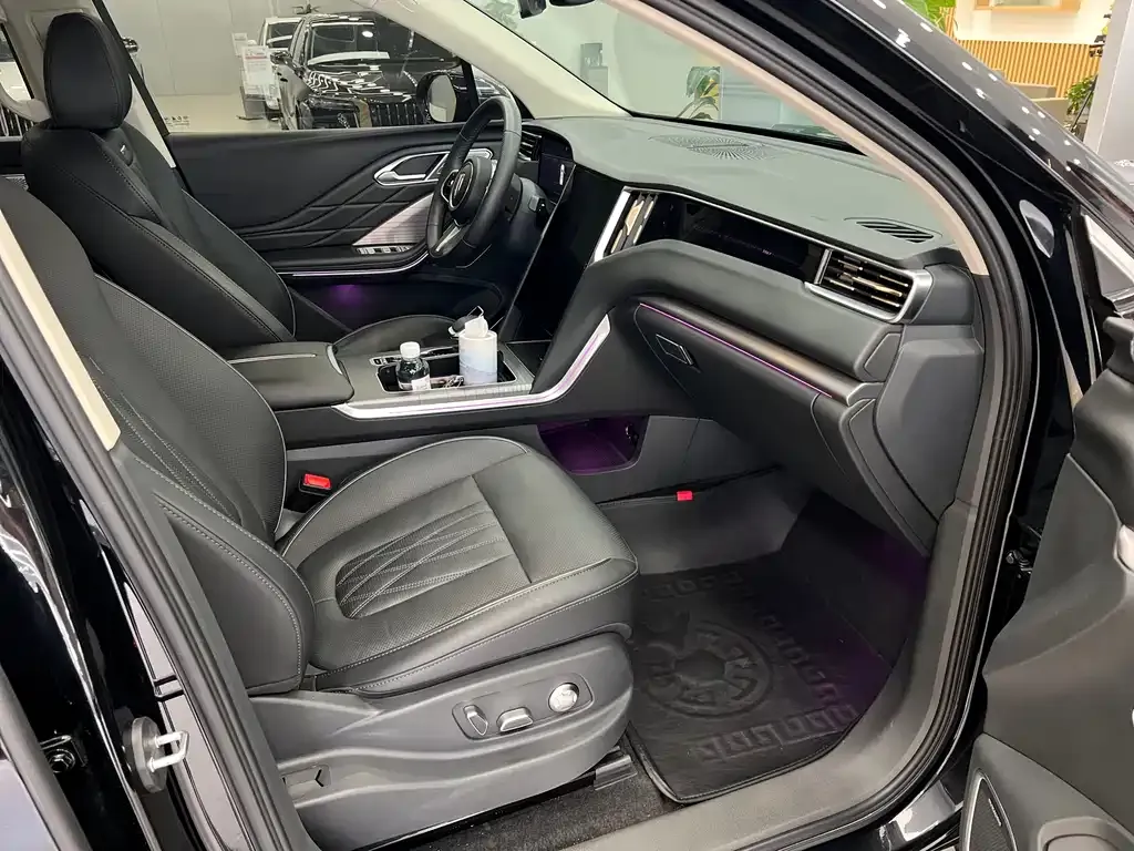 Hongqi HS7 PHEV 2024 из CN, фото 9
