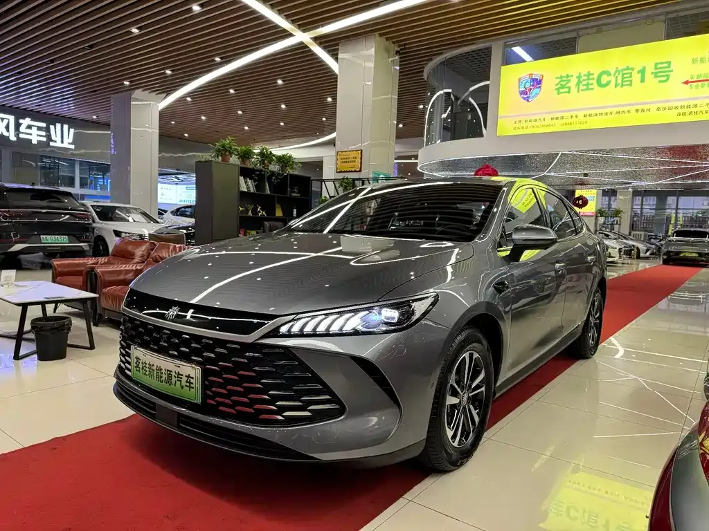 BYD Qin PLUS — фото 1