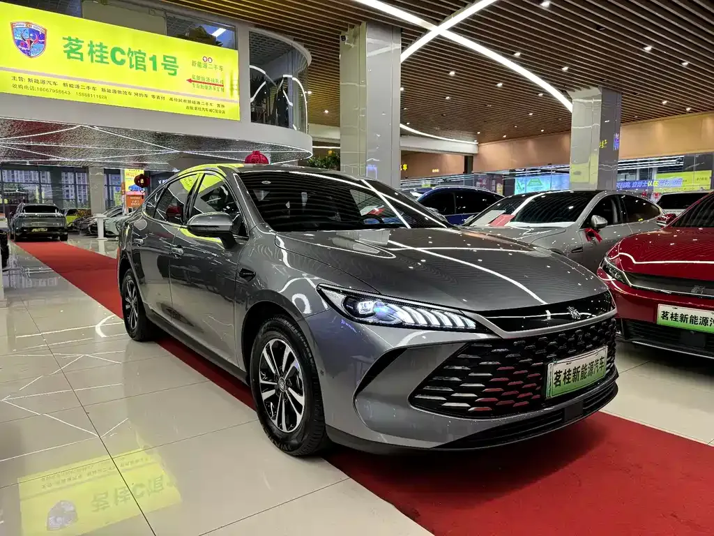 BYD Qin PLUS — фото 2