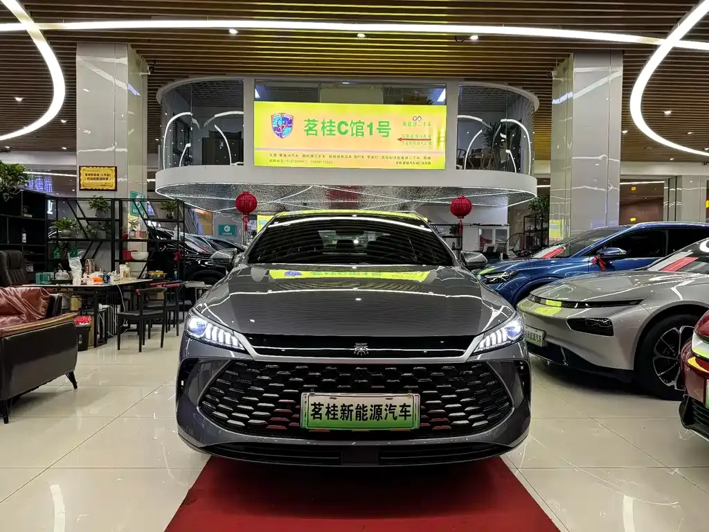 BYD Qin PLUS — фото 3
