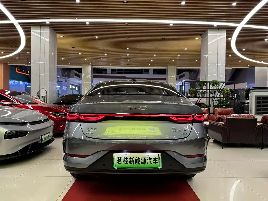 BYD Qin PLUS — фото 6