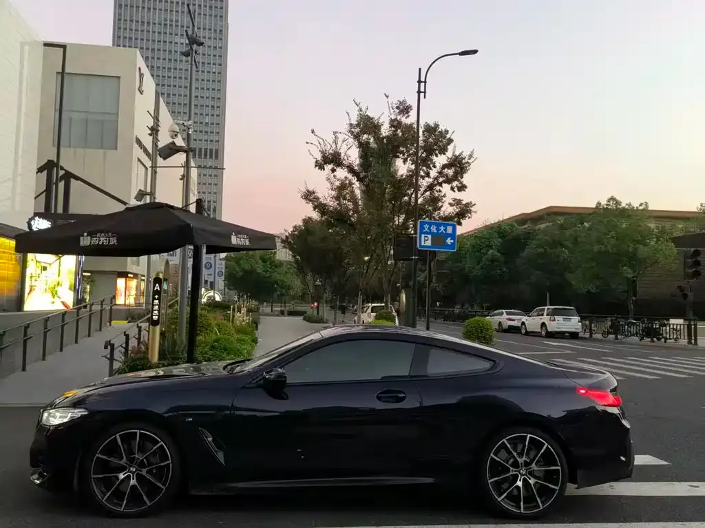 BMW 8 Series 2023 из CN, фото 2