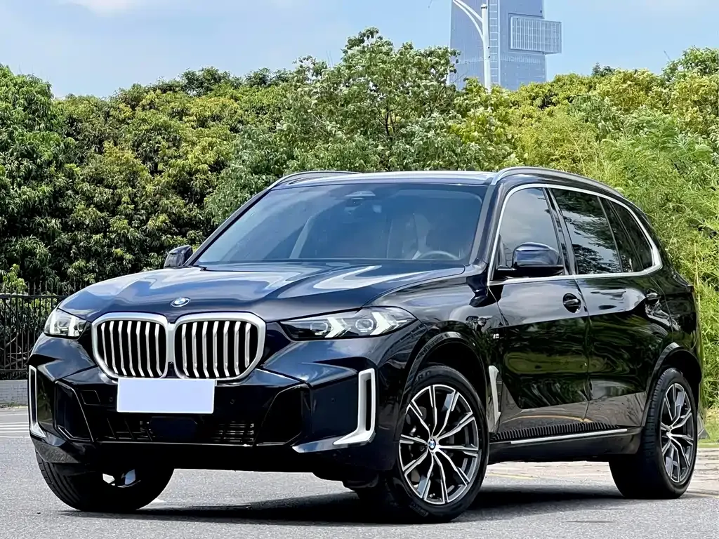 BMW X5 2024 из CN, фото 1
