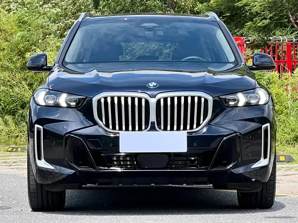 BMW X5 2024 из CN, фото 2