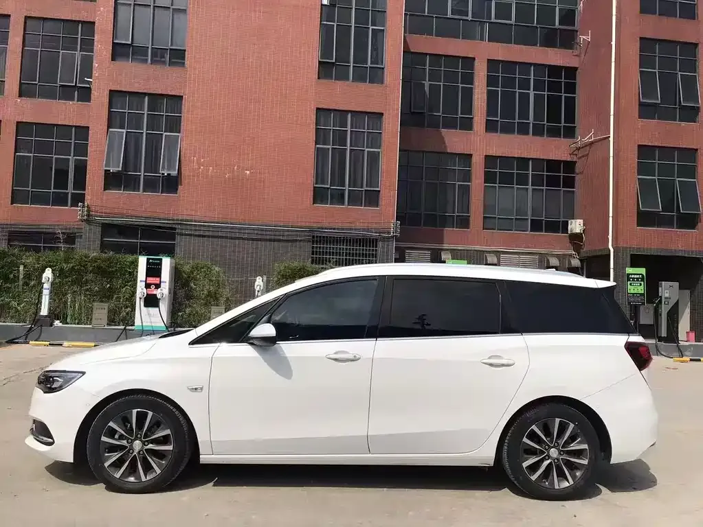 Buick GL6 2021 из CN, фото 4
