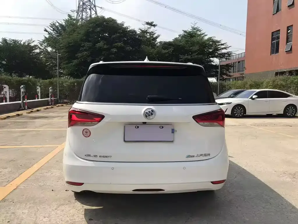 Buick GL6 2021 из CN, фото 5