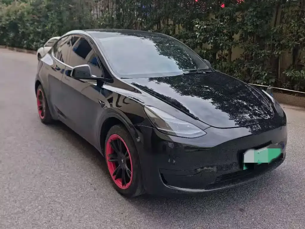 Tesla Model Y — фото 2