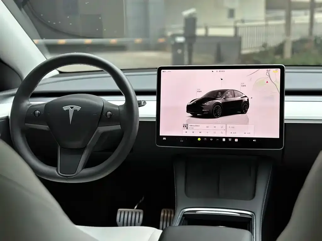 [object Object] Model Y 2022 из CN, фото 10