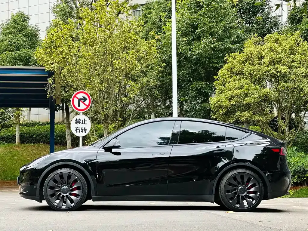 [object Object] Model Y 2022 из CN, фото 2