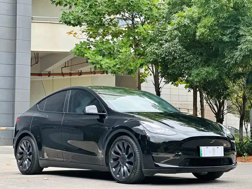 [object Object] Model Y 2022 из CN, фото 3