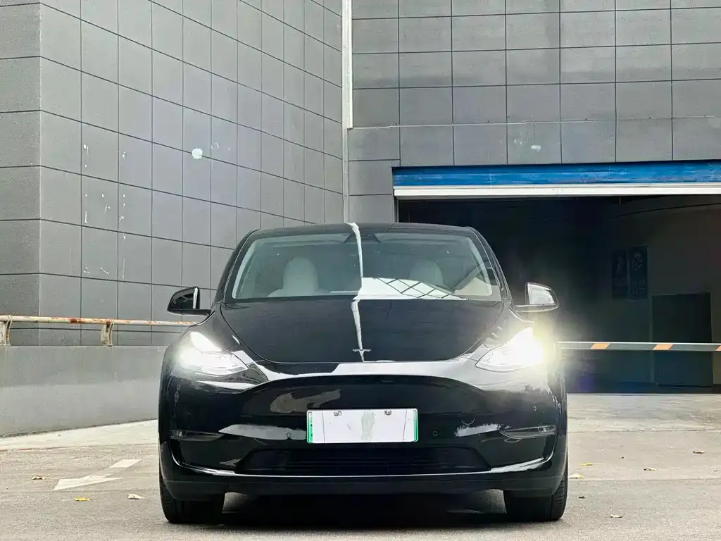 [object Object] Model Y 2022 из CN, фото 4