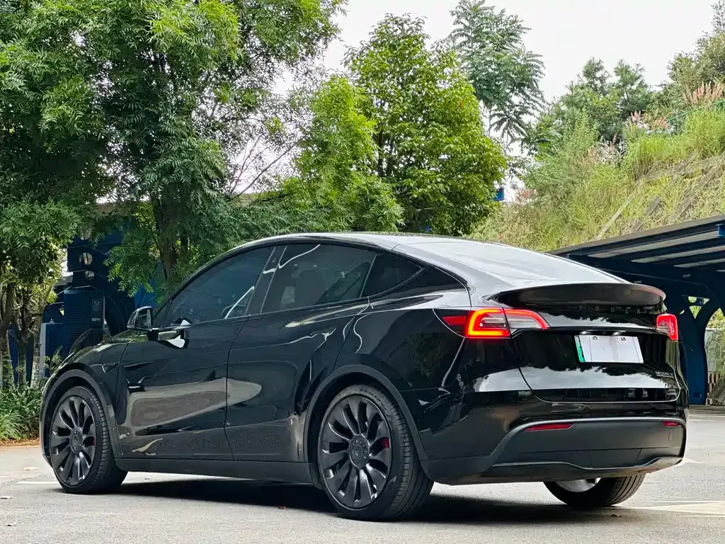 [object Object] Model Y 2022 из CN, фото 6