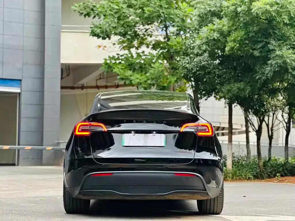 [object Object] Model Y 2022 из CN, фото 7