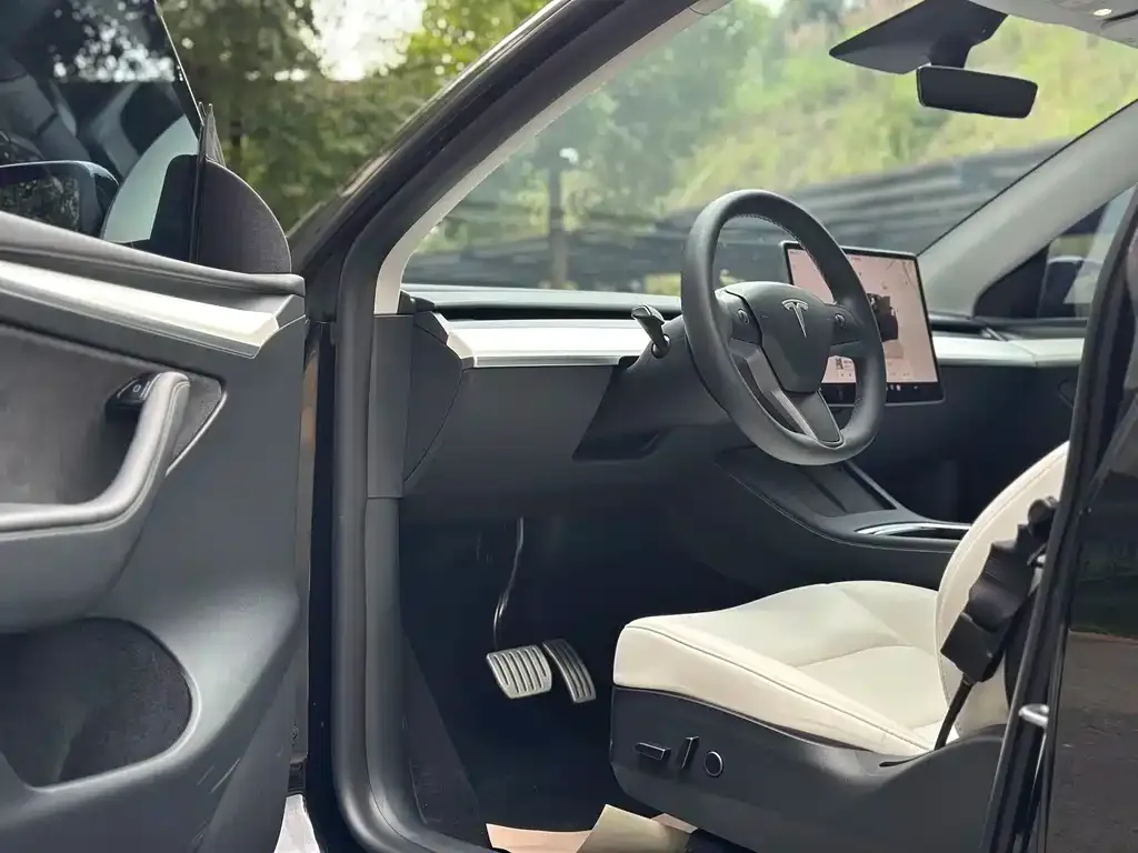 [object Object] Model Y 2022 из CN, фото 8