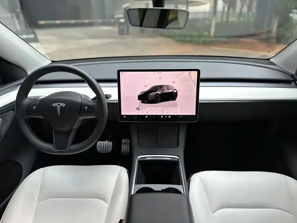 [object Object] Model Y 2022 из CN, фото 9