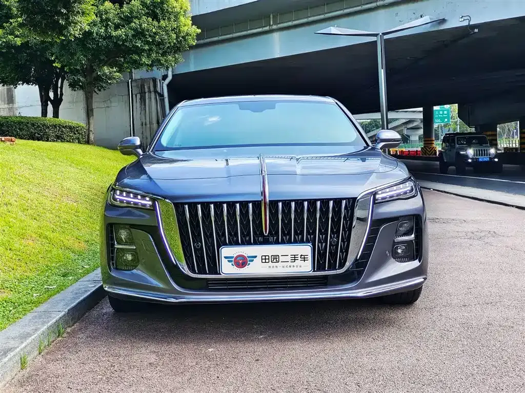 Hongqi H5 2023 из CN, фото 2