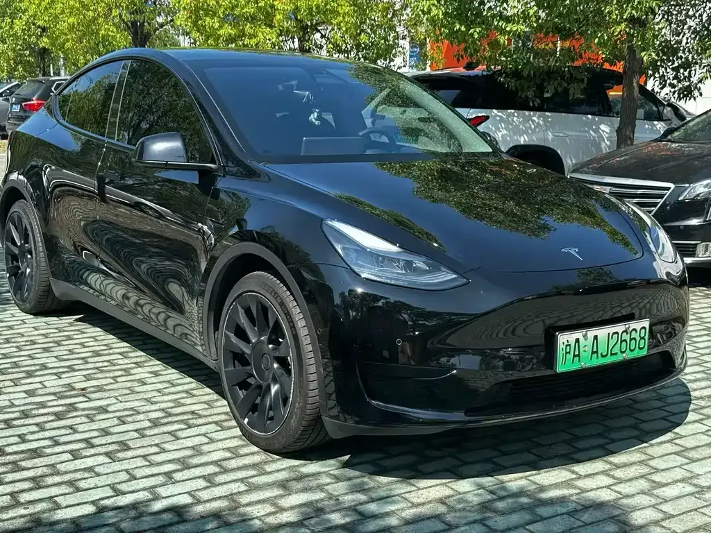 Tesla Model Y 2022 из CN, фото 1
