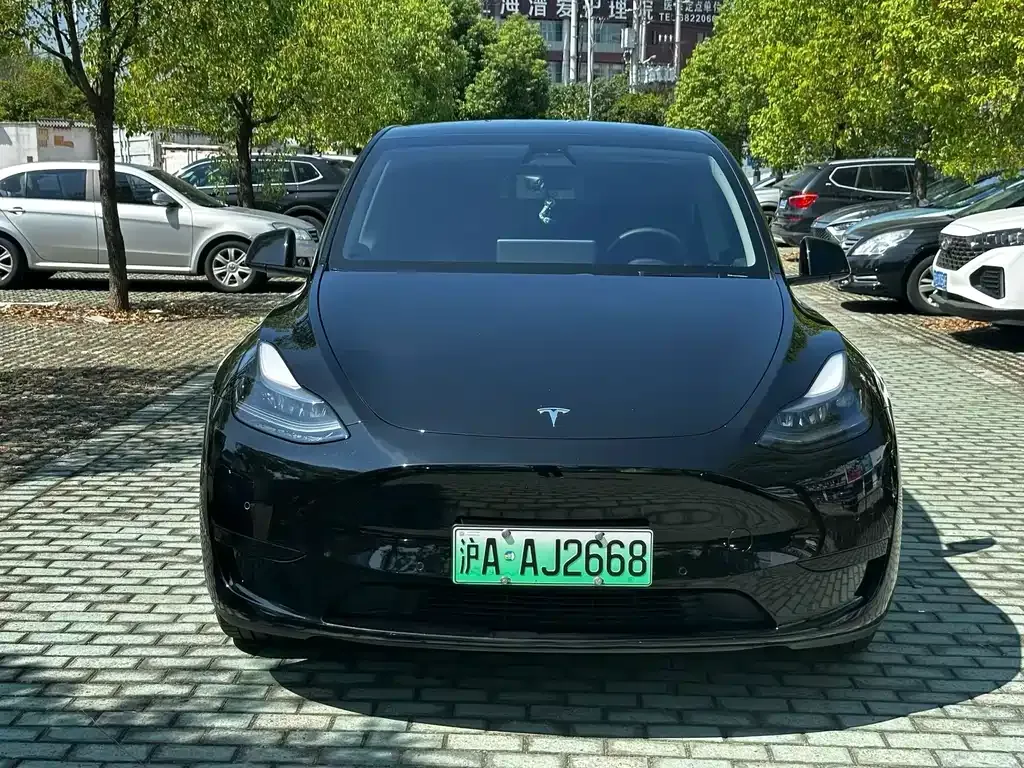 Tesla Model Y 2022 из CN, фото 2