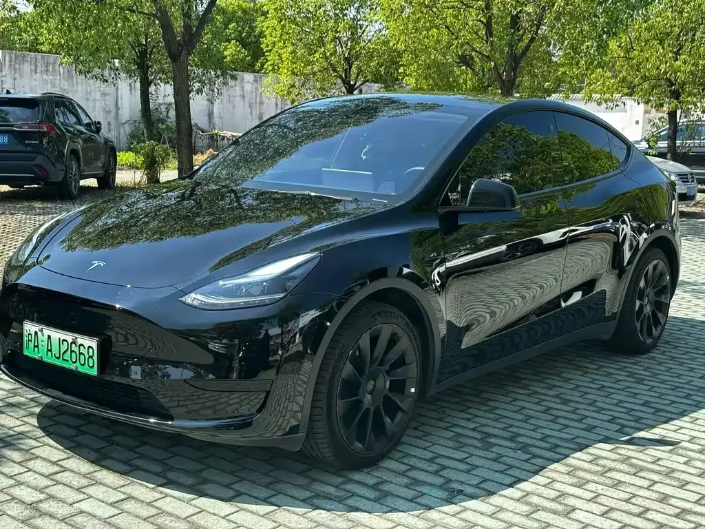 Tesla Model Y 2022 из CN, фото 3