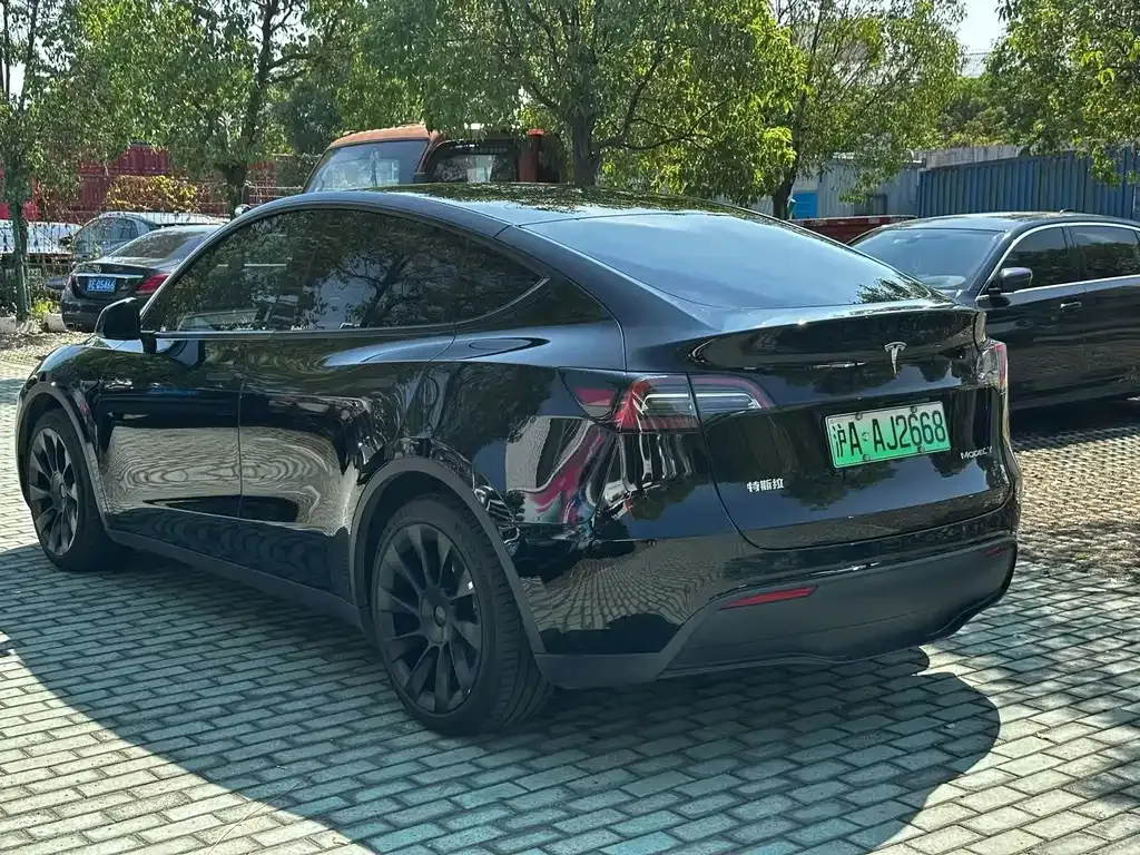 Tesla Model Y 2022 из CN, фото 7