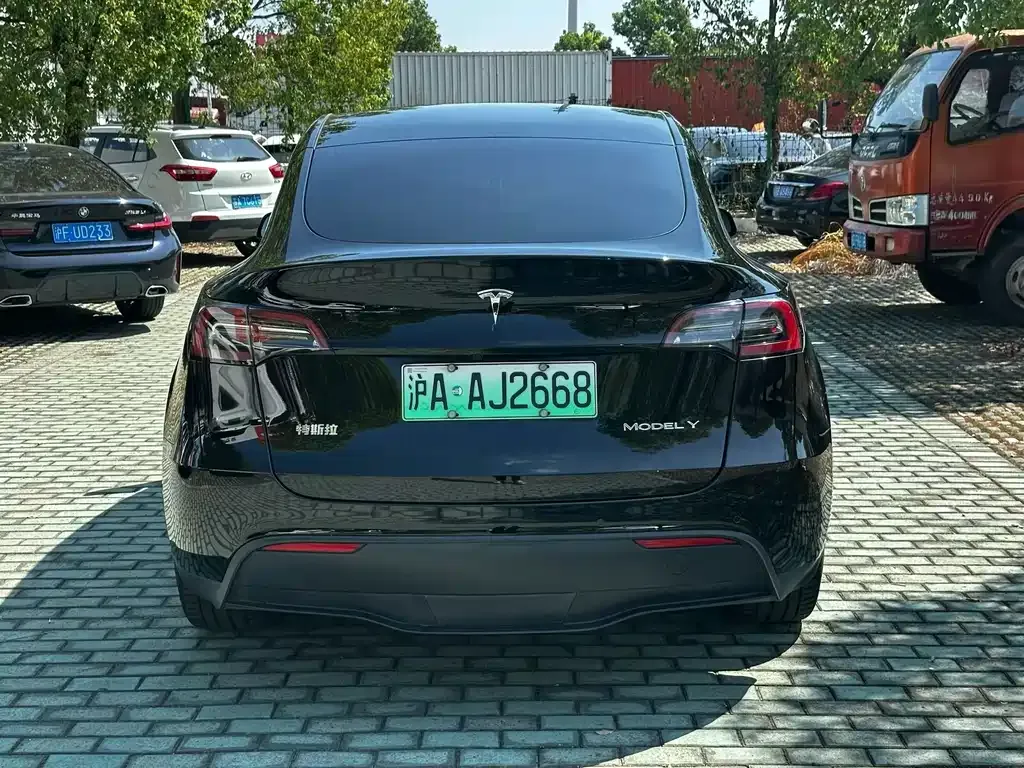 Tesla Model Y 2022 из CN, фото 8
