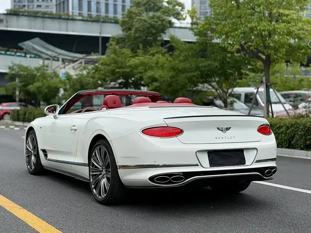 Bentley Continental 2022 из CN, фото 7
