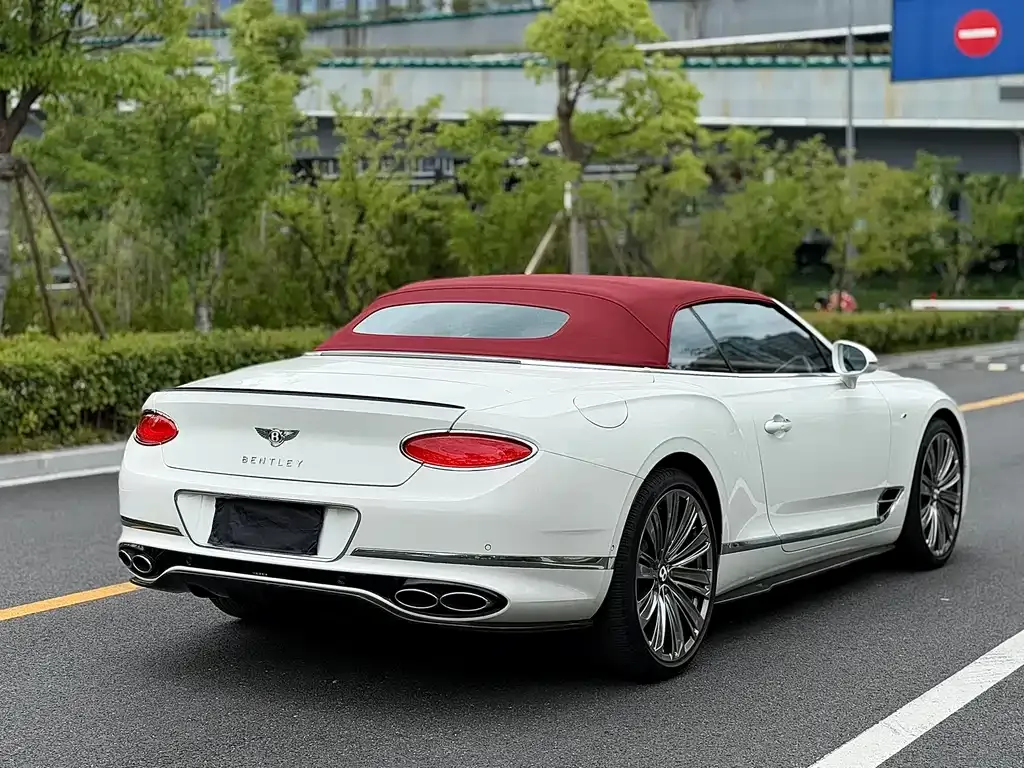 Bentley Continental 2022 из CN, фото 9