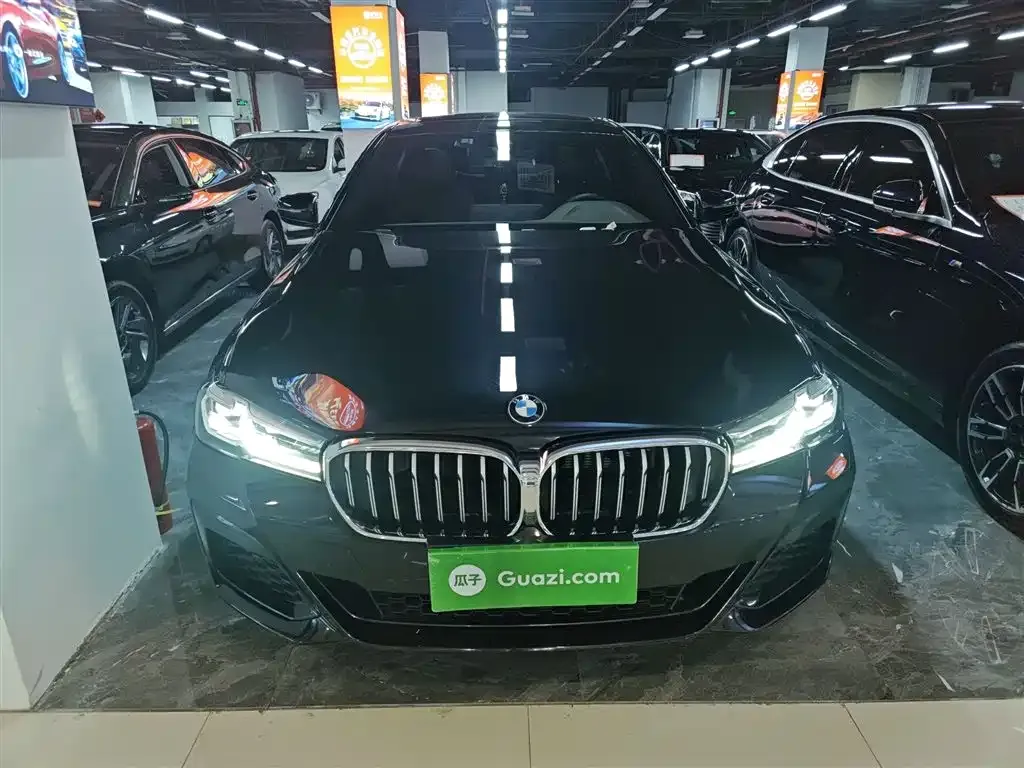 BMW 5 Series 2022 из CN, фото 3