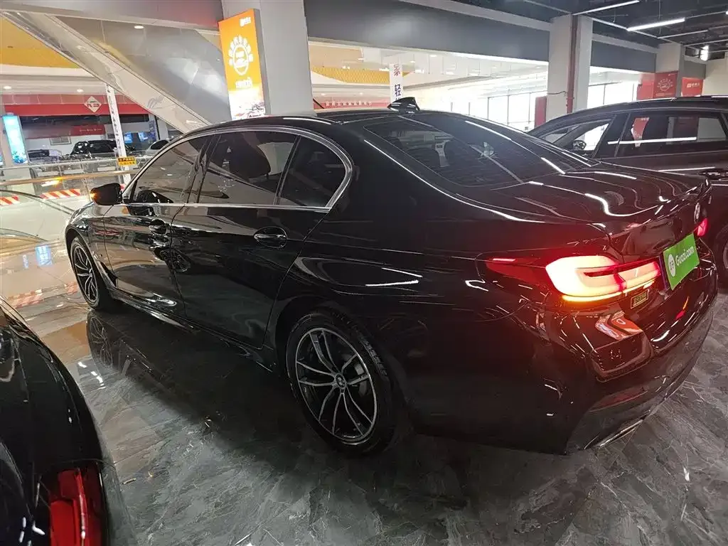 BMW 5 Series 2022 из CN, фото 5