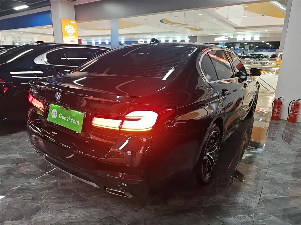 BMW 5 Series 2022 из CN, фото 7