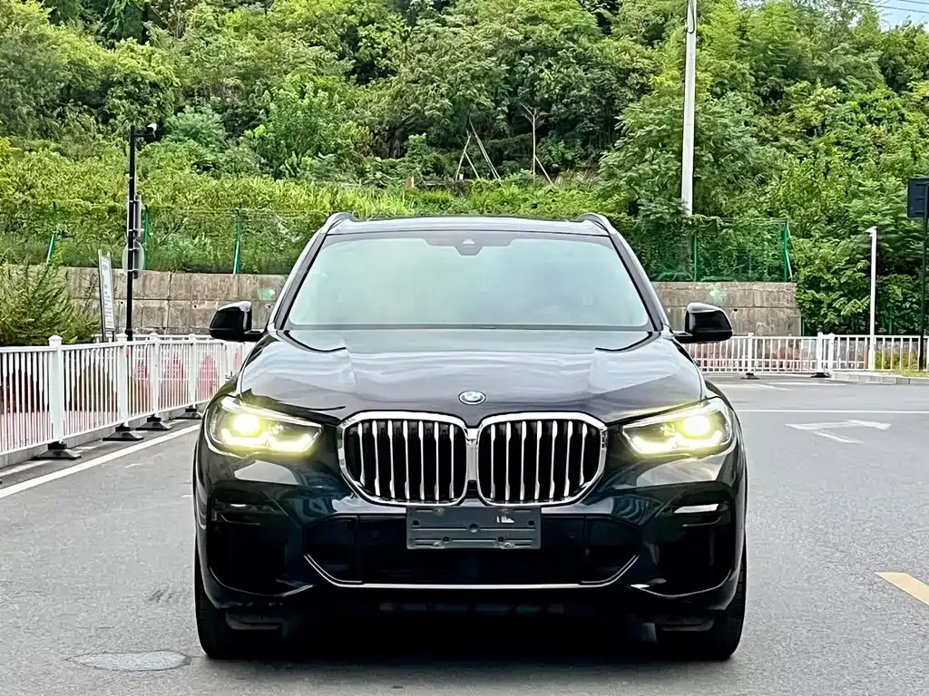 BMW X5 (Import) 2022 из CN, фото 2