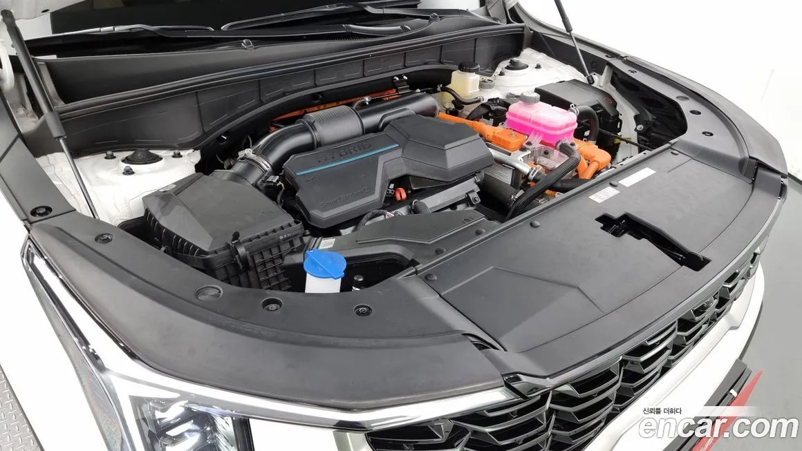 [object Object] Sorento 2024 из KR, фото 6