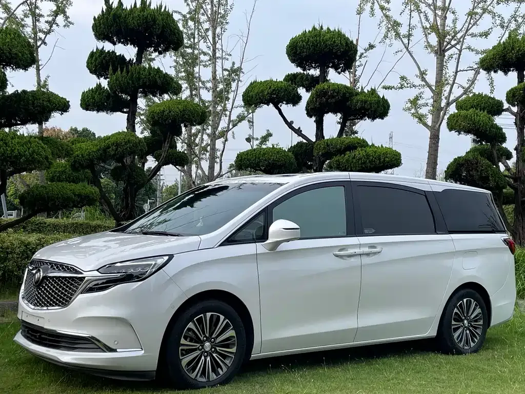 Buick GL8 2021 из CN, фото 10