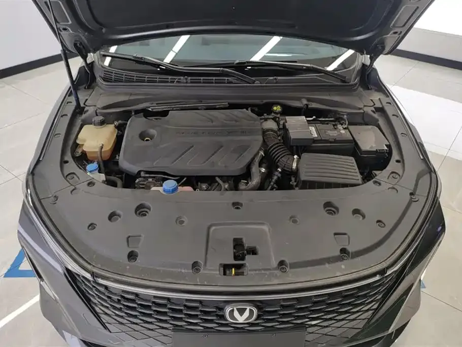 Changan Ruicheng PLUS 2023 из CN, фото 10
