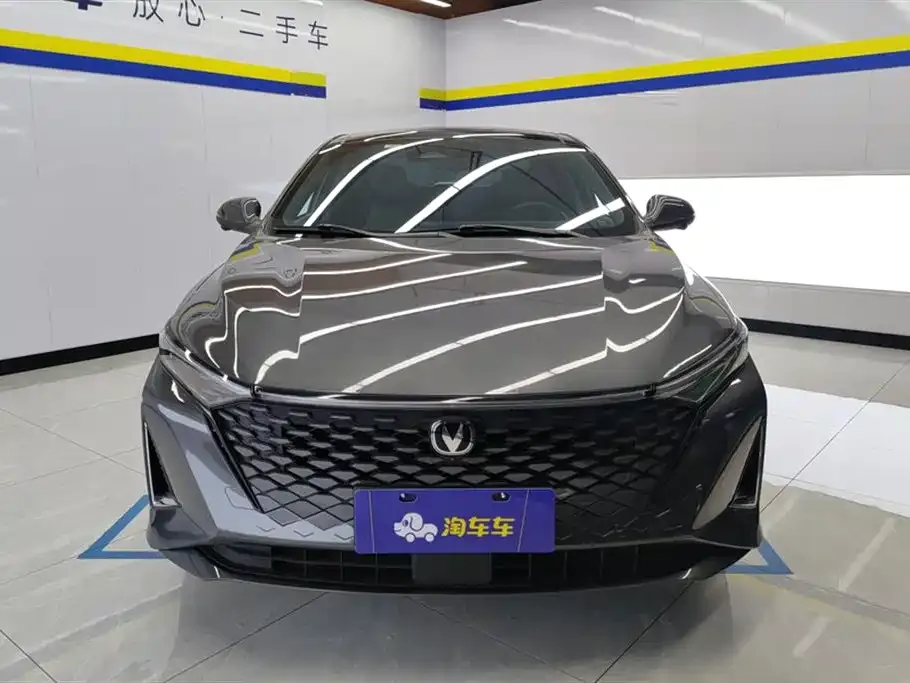 Changan Ruicheng PLUS 2023 из CN, фото 2